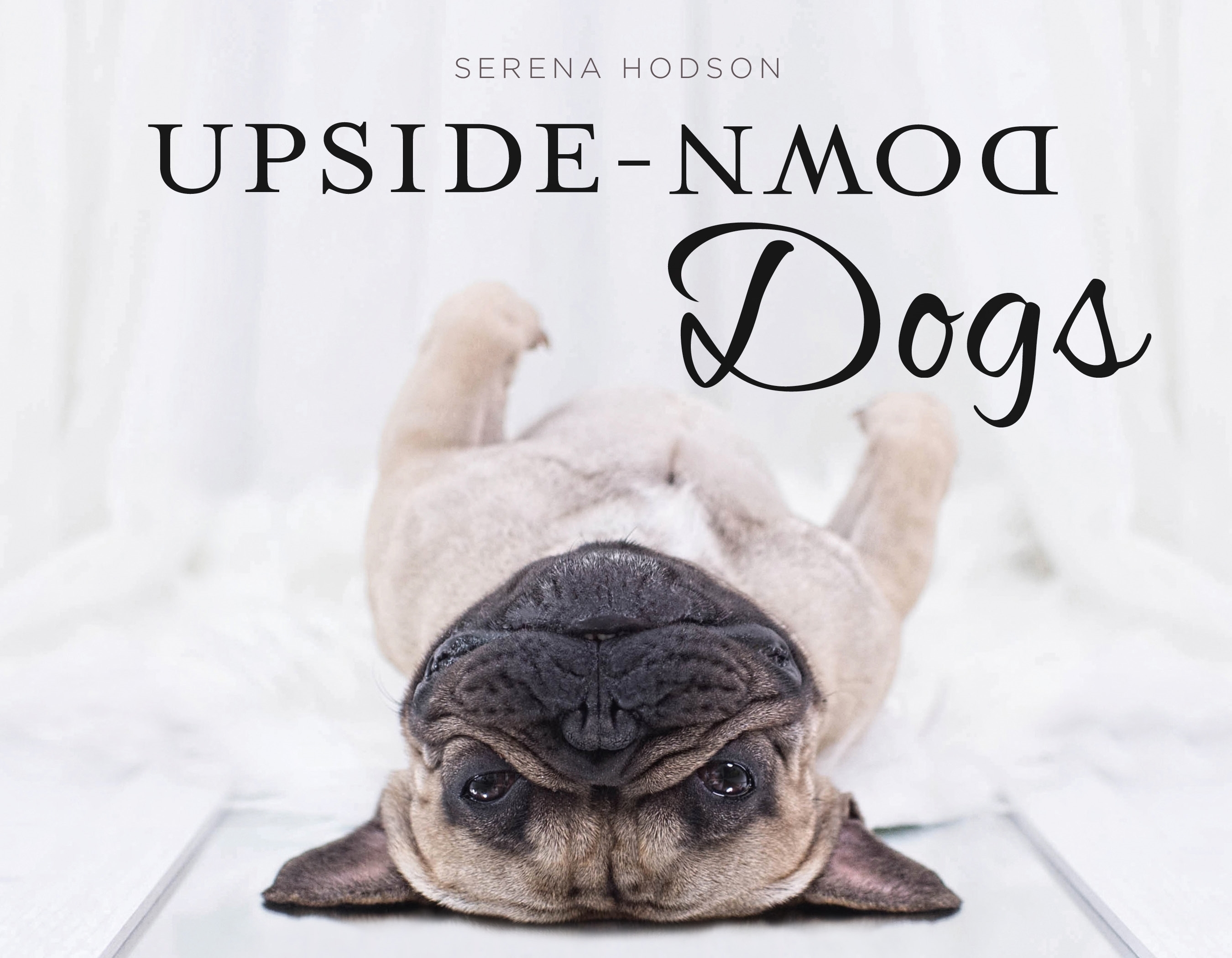 5-copies-of-upside-down-dogs-to-giveaway